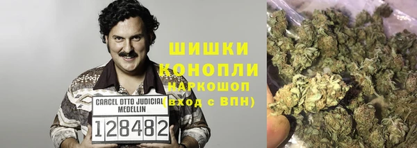 гидра Апатиты