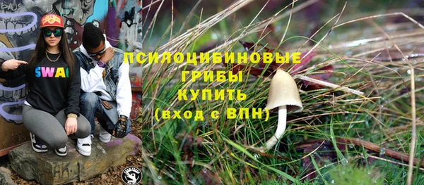 таблы Анива