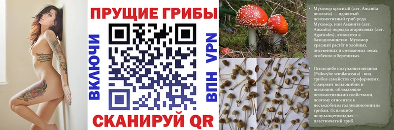 Псилоцибиновые грибы Magic Shrooms omg вход Бузулук