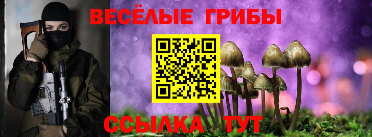 Галлюциногенные грибы мухоморы Бузулук